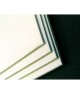 Clairefontaine, Feuille de carton, mi fin, 500 x 650 mm, 600 g, Blanc, Gris, 93990C