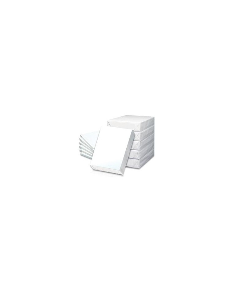 Papier blanc 100% recyclé Evercopy Premium A3 80g, 5 ramettes de 500  feuilles - Papier blanc