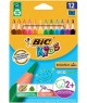 Bic, Crayons de couleur, Evolution, Triangulaire, étui de 12, 8297356