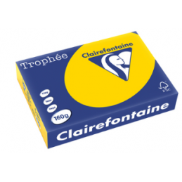 Clairefontaine, Papier Trophée, A4, 160G, Bouton d'or, 1103C