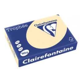 Clairefontaine, Papier Trophée, PASTEL, A4, 160G, Chamois, 1040C