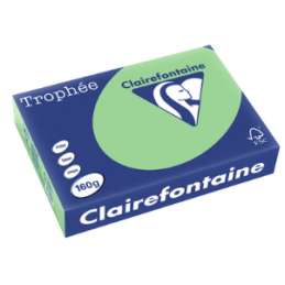 Clairefontaine, Papier Trophée, A4, 160G, Vert nature, 1120C