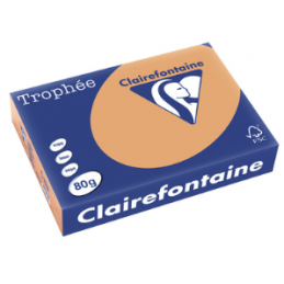 Clairefontaine, Papier Trophée, A4, 80G, Caramel, 500 Feuilles, 1879C