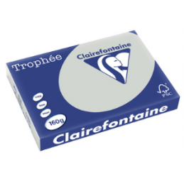 Clairefontaine, Papier Trophée, A3, 160G, Gris acier, 1010C