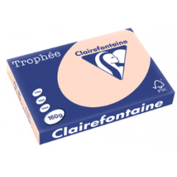 Clairefontaine, Papier Trophée, A3, 160G, Saumon, 1111C