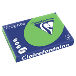 Clairefontaine, Papier Trophée, A3, 160G, Vert menthe, 1035C