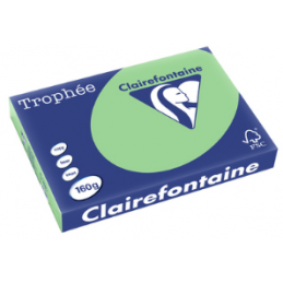 Clairefontaine, Papier Trophée, A3, 160G, Vert nature, 1119C