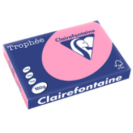 Clairefontaine, Papier Trophée, A3, 160G, Eglantine, 1014C