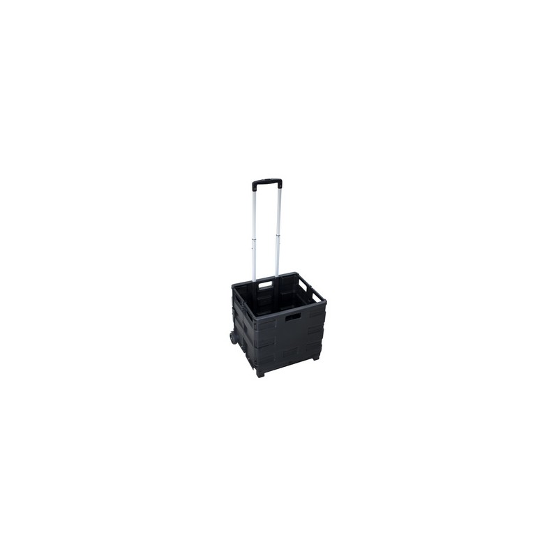 Pavo, Chariot de transport, Bac rabattable, Charge 20 kg, 8053919