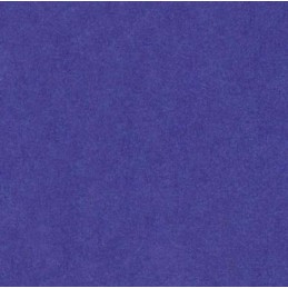 Canson, Papier de soie, 0,5 x 5,0 m, 20 g, Bleu , C200992665