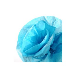 Canson, Papier de soie, 0.5 x 5 m, 20 g, Bleu turquoise, Rouleau, C200992664