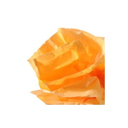 Canson, Papier de soie, 0.5 x 5 m, 20 g, Orange, Rouleau, C200992661