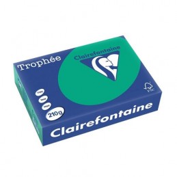 Clairefontaine, Papier universel, Trophée, A4, vert sapin, 210g, 2213C