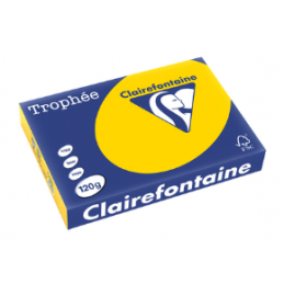 Clairefontaine, Papier universel, Trophée, A4, 120g, bouton d'or, 1206C