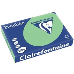 Clairefontaine, Papier universel, Trophée, A4, 120g, vert nature, 1228C